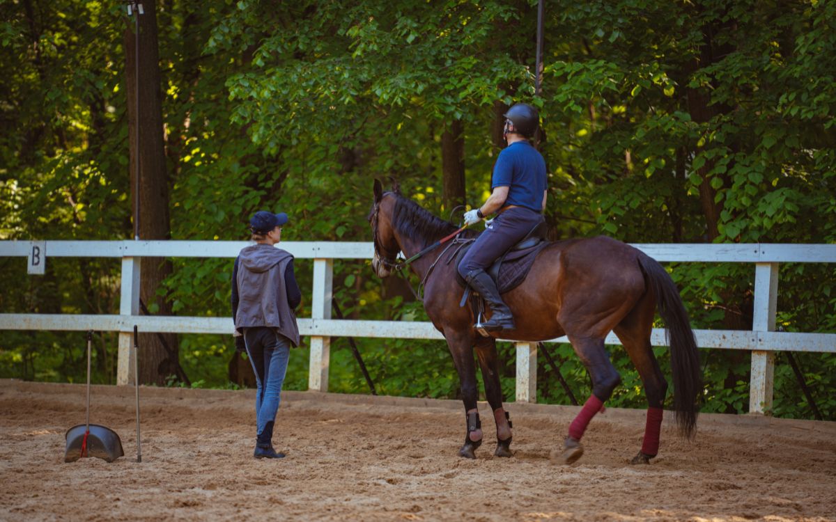Coach guiando ejercicio de coaching con caballos para claridad y toma de decisiones