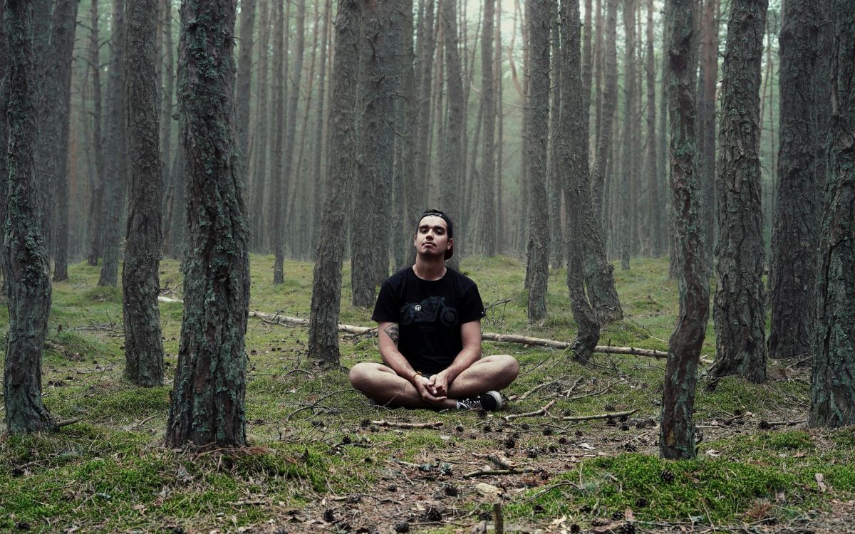 El silencio como herramienta de transformación personal Persona meditando en la naturaleza durante un retiro de yoga